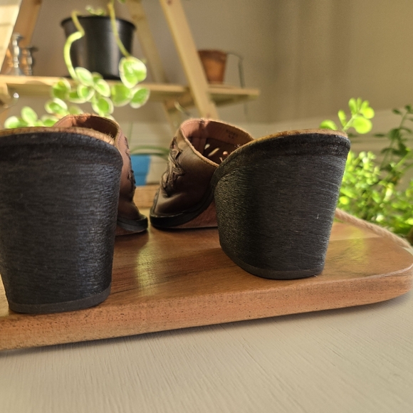 Carlos by Carlos Santana - Picture 8 of 12